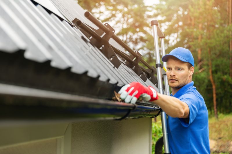 Gutter Inspection in Spring
